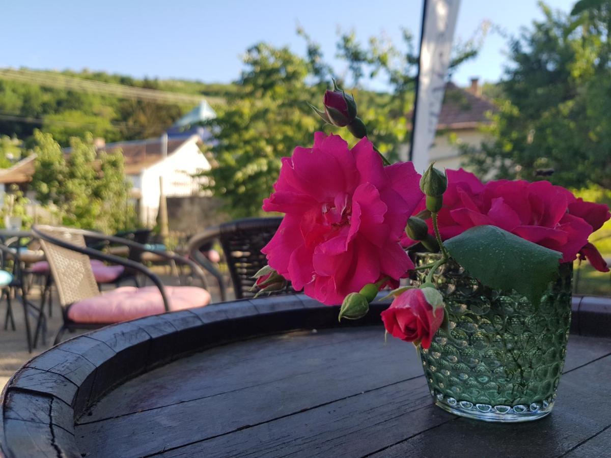 Antaloczy Cottage Tokaj Ngoại thất bức ảnh